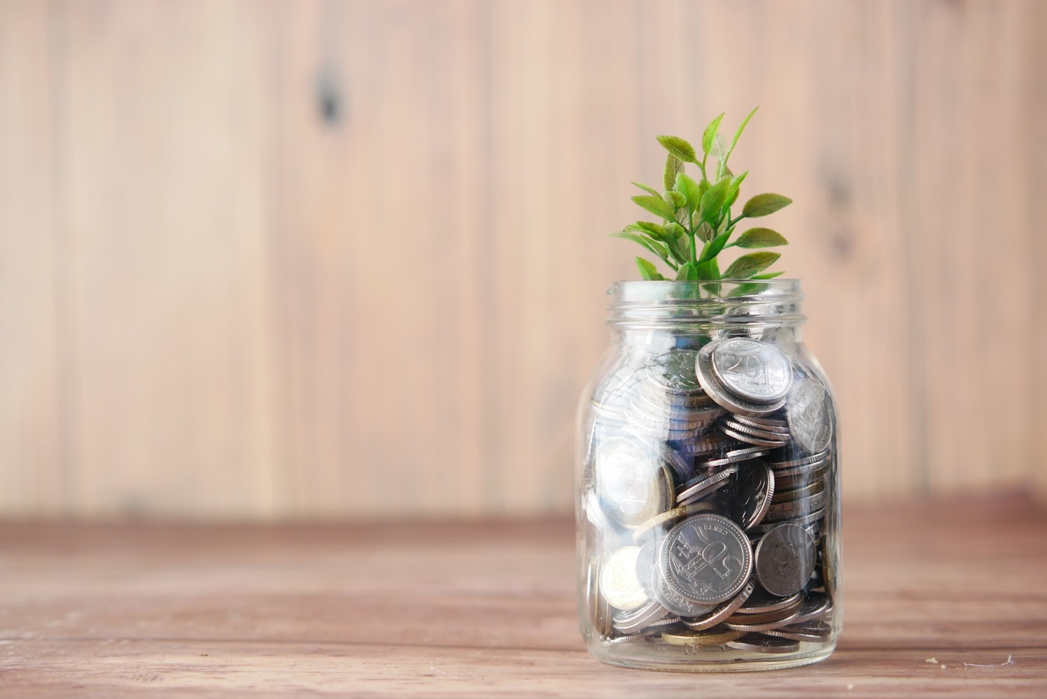 O Papel da Educação Financeira no Sucesso do Investidor